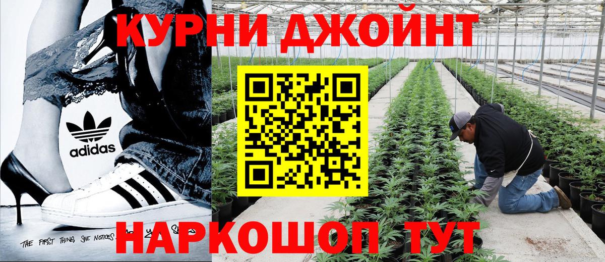 Бошки Шишки гибрид Братск